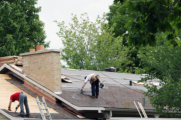 Best Gutter Installation and Repair  in Essex, IL